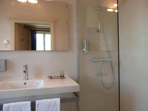 a bathroom with a sink and a shower at Hôtel Grand Monarque in Azay-le-Rideau