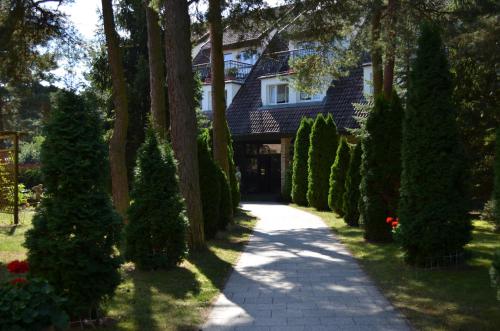 a driveway leading to a house with a row of trees at Ośrodek Wypoczynku i Rekreacji Venus in Mrzeżyno