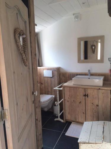 a bathroom with a sink and a toilet at Petite maison d'Amelotte in Sainte-Cécile