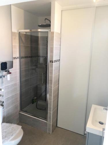 une salle de bain avec une douche, des toilettes et un lavabo dans l'établissement BEAU STUDIO CLIMATISE Rive Gauche, à Palavas-les-Flots
