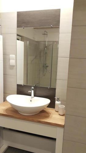 a bathroom with a white sink and a mirror at Magico Posto in Wierzchucino