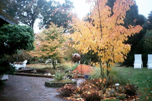 a yellow tree in the middle of a garden at Ferienwohnung Landhaus im Grünen in Bad Zwischenahn