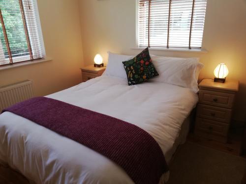 1 dormitorio con 1 cama blanca grande y 2 lámparas en Two Eggs en Kenmare