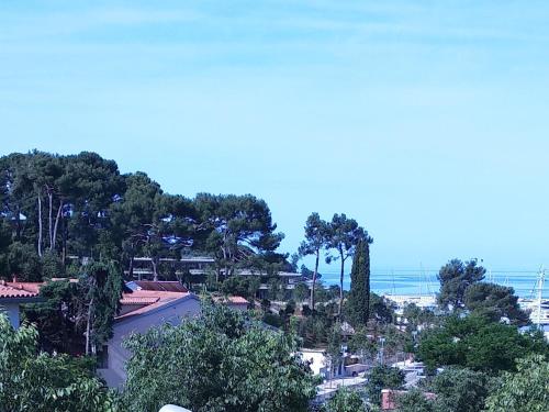 Studio Bella