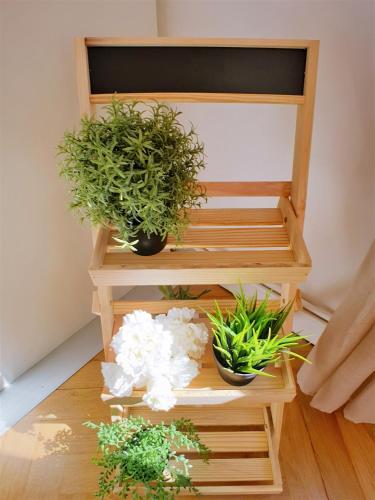 a wooden shelf with potted plants on it at Au 36, Les Apparts Hotel Joigny in Joigny