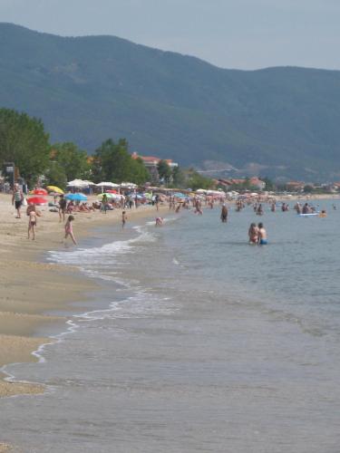 a large group of people on a beach at Amaranti Luxury Apartments in Nea Vrasna