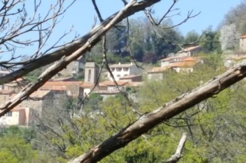 Fotografie z fotogalerie ubytování MAISON TUCCARELLU v destinaci Letia