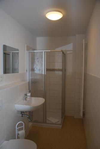 a bathroom with a shower and a sink at EVITA Forum Demen in Demen