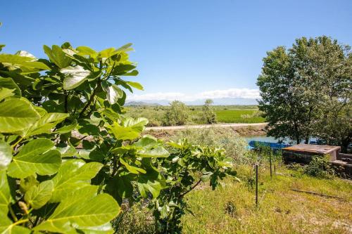 a view of a field with trees and a river at Luxury House Petrovic - Vranjina Skadar Lake in Podgorica