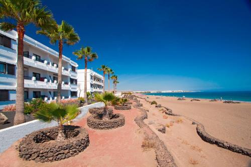 a beach with palm trees and a building at Costa Luz Beach Apartments in Puerto del Carmen