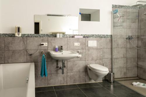een badkamer met een wastafel, een toilet en een douche bij Ferienwohnung im Paradiesgarten in Deidesheim