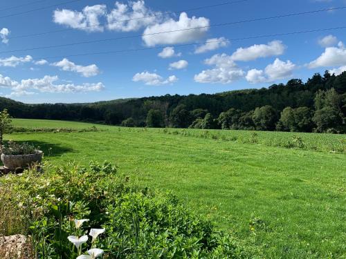 a field of green grass with trees in the background at Kerrouz in Bannalec