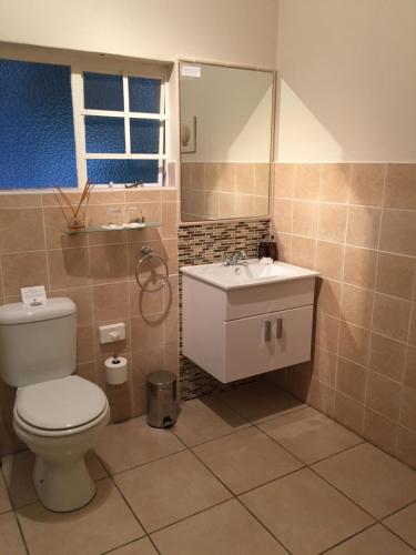 a bathroom with a toilet and a sink at Porcupine Ridge Guest House in Sabie