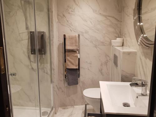 a bathroom with a shower and a toilet and a sink at The Queens Head, Parkside apartment 2 in Burley in Wharfedale