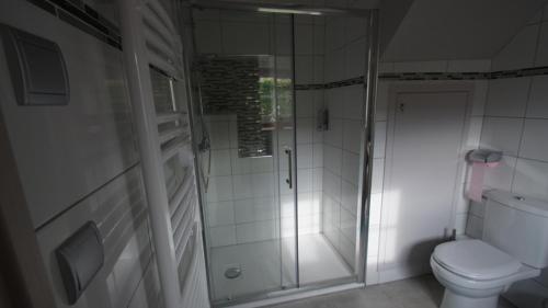 a bathroom with a toilet and a glass shower at studio Ancolie in Oyonnax