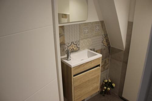 a bathroom with a sink and a mirror at CLOS MARIE in Iguerande