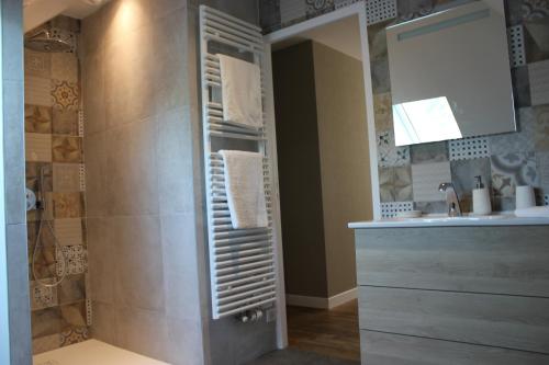 a bathroom with a shower and a sink at CLOS MARIE in Iguerande