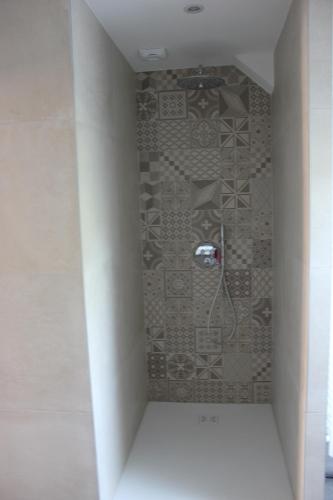 a bathroom with a shower with a tile wall at CLOS MARIE in Iguerande