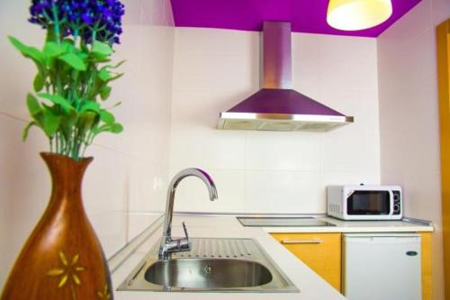 a kitchen with a sink and a vase with purple flowers at Apartamentos 16:9 Playa Suites in Almería