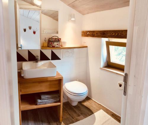 ein kleines Bad mit WC und Waschbecken in der Unterkunft B&B Mad Mountain in Robidišče