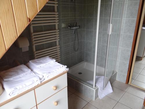 une salle de bain avec douche et baignoire dans l'établissement Le nid d'hirondelles - Chambres d'hôtes, à Plougoumelen