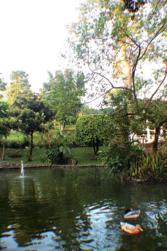 a pond in a park with people swimming in it at Park Hotel in Santa Cruz Verapaz