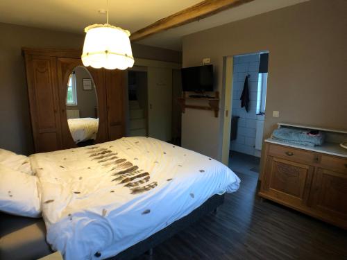 1 dormitorio con 1 cama grande y espejo en De Holsterhoeve, en Beringen