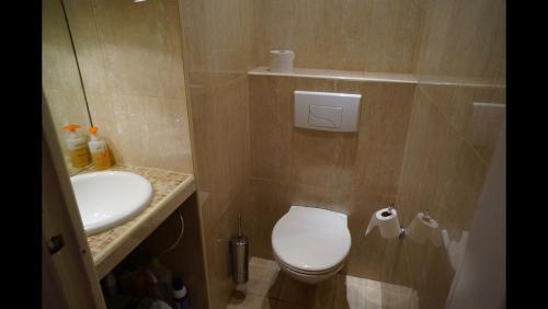 une petite salle de bain avec toilettes et lavabo dans l'établissement 124 MIRAMAR 65 LA CROISETTE, à Cannes