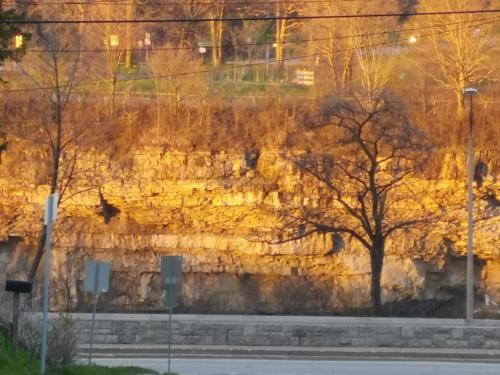 Φωτογραφία από το άλμπουμ του Your Oasis in Niagara Falls Canada στους Καταρράκτες του Νιαγάρα