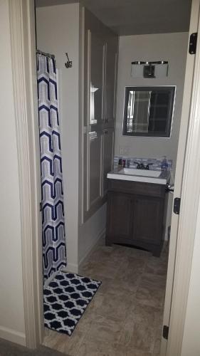 baño con lavabo y cortina de ducha en Ronnie's Resort en Payson