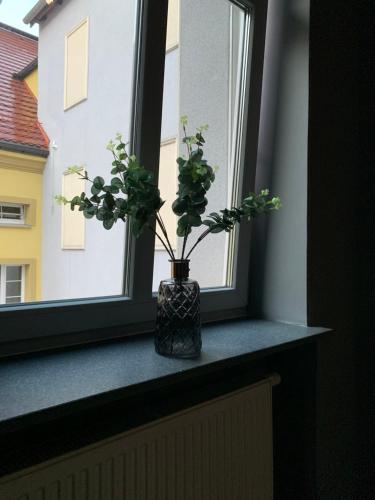 Gambar di galeri bagi Browarna 1 Apartamenty przy Rynku Racibórz di Racibórz
