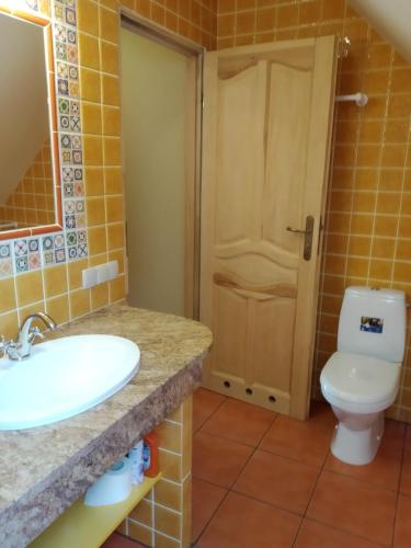 a bathroom with a sink and a toilet at U Malwiny in Rajskie Sakowczyk