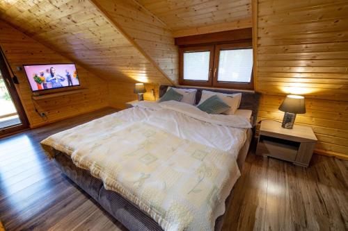 1 dormitorio con 1 cama y TV en una cabaña en OW Magdalena en Boszkowo