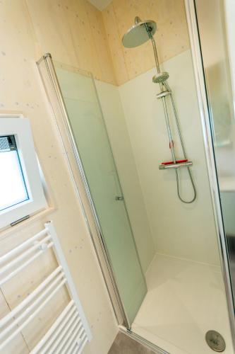 a shower with a glass door in a bathroom at De Lepelaar in Midsland