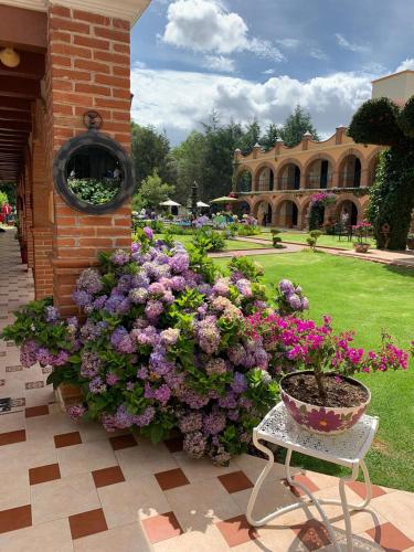Hotel Real de Huascaにある庭