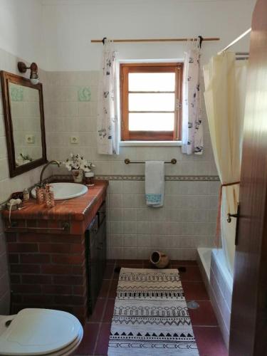 a bathroom with a sink and a toilet and a window at Casa RioTempo + Jangada in Tomar