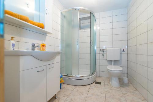 a bathroom with a shower and a toilet and a sink at Apartments Robinzon Petar in Gdinj