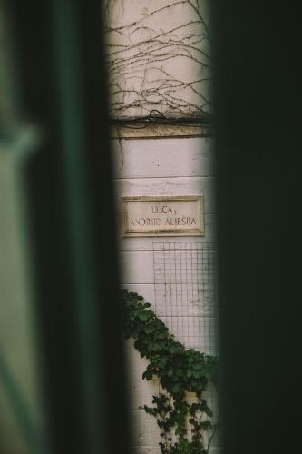 a sign for the virgin antiquarial museum with a plant at 5 minutes walk ART in Split