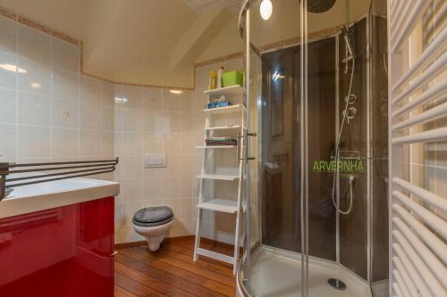 a bathroom with a shower and a toilet and a sink at Le Petit Lutess in Murol