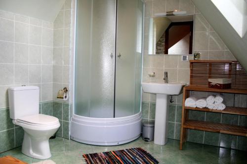 a bathroom with a shower and a toilet and a sink at Goldingen in Kuldīga