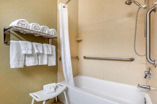 Ένα μπάνιο στο Quality Inn & Suites Durant