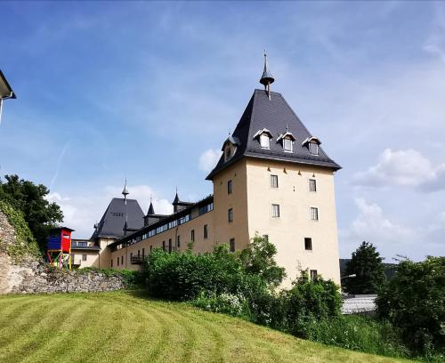 a large building with a black roof on a field at Turmapartment Lindenhof in Millstatt