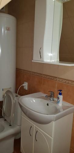 a bathroom with a sink and a toilet and a mirror at Садиба Зґарда in Yaremche