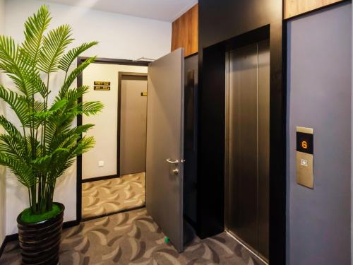 a plant in a hallway next to a door at Solid Hotels in Johor Bahru