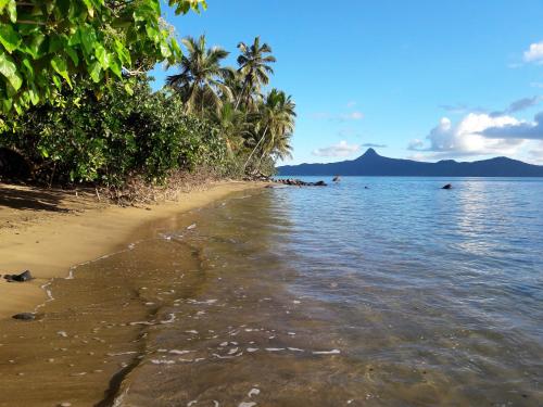 - une plage avec des palmiers et l'eau dans l'établissement LE CHISSIOUA, à Sada