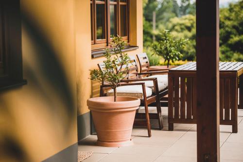 Balkón nebo terasa v ubytování Hohler Appartement Gamlitz