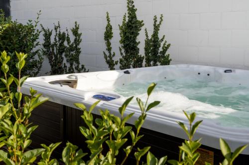 a jacuzzi tub in a garden with plants at B&B Hostellerie Marie in Eben-Emael