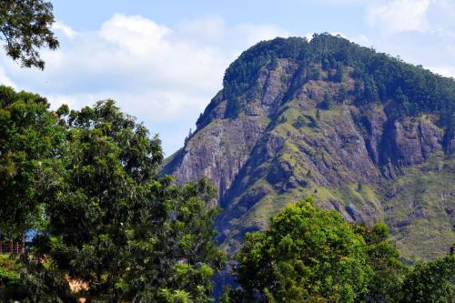 a mountain with trees in front of it at The Chillout Ella in Ella