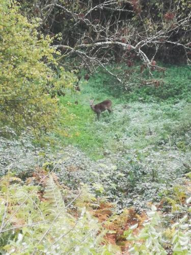 Photo de la galerie de l'établissement Gîte les hunières, à Fourneville