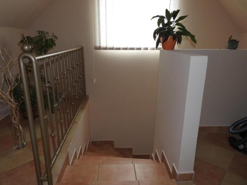 Fotografie z fotogalerie ubytování Petra Apartmanház v destinaci Badacsonytomaj